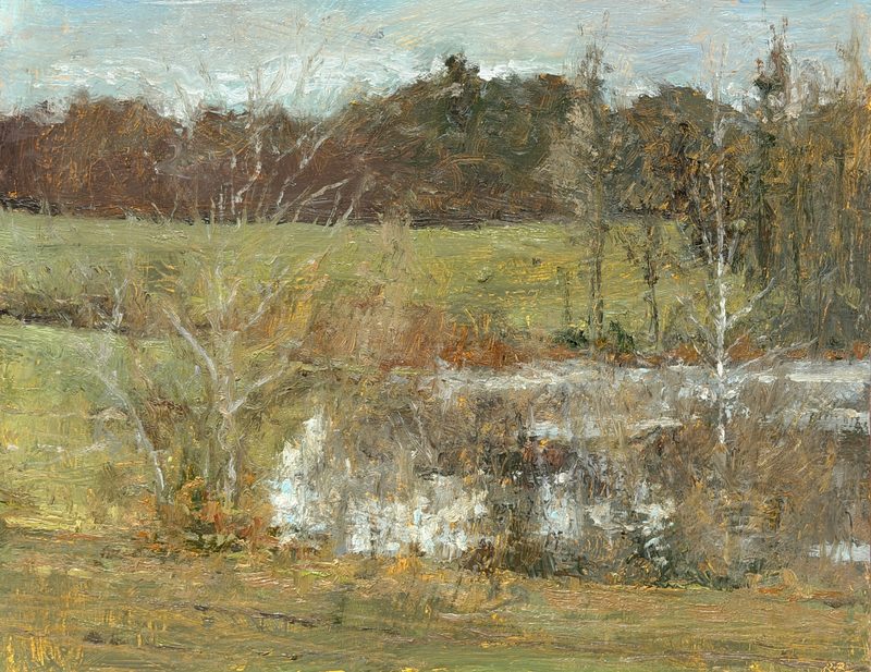 Field and treeline above a marsh