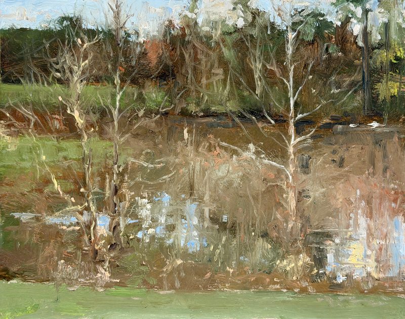 Bare trees reflected in a marsh