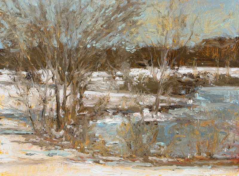 Marsh with patches of snow and bare trees