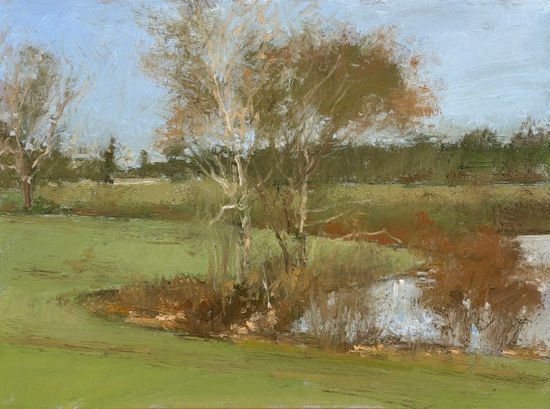 Bare trees beside a pond in a green field
