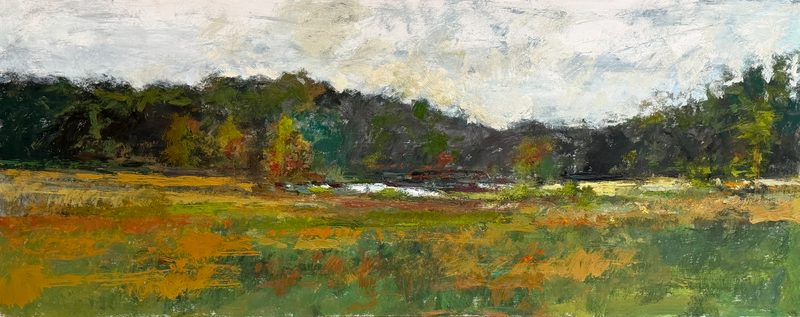 Meadow below wooded hills under a cloudy sky