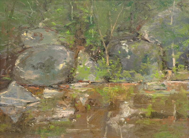 Gray boulders by still water in spring woods