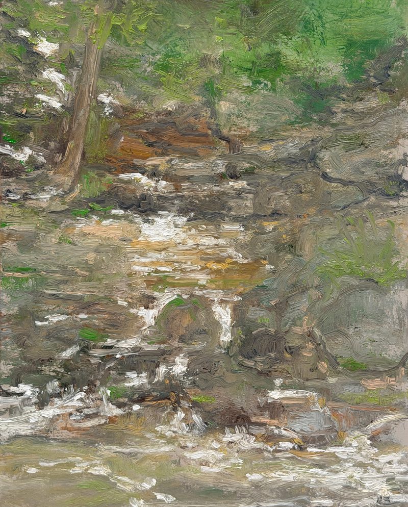 Creek running over rocks among trees