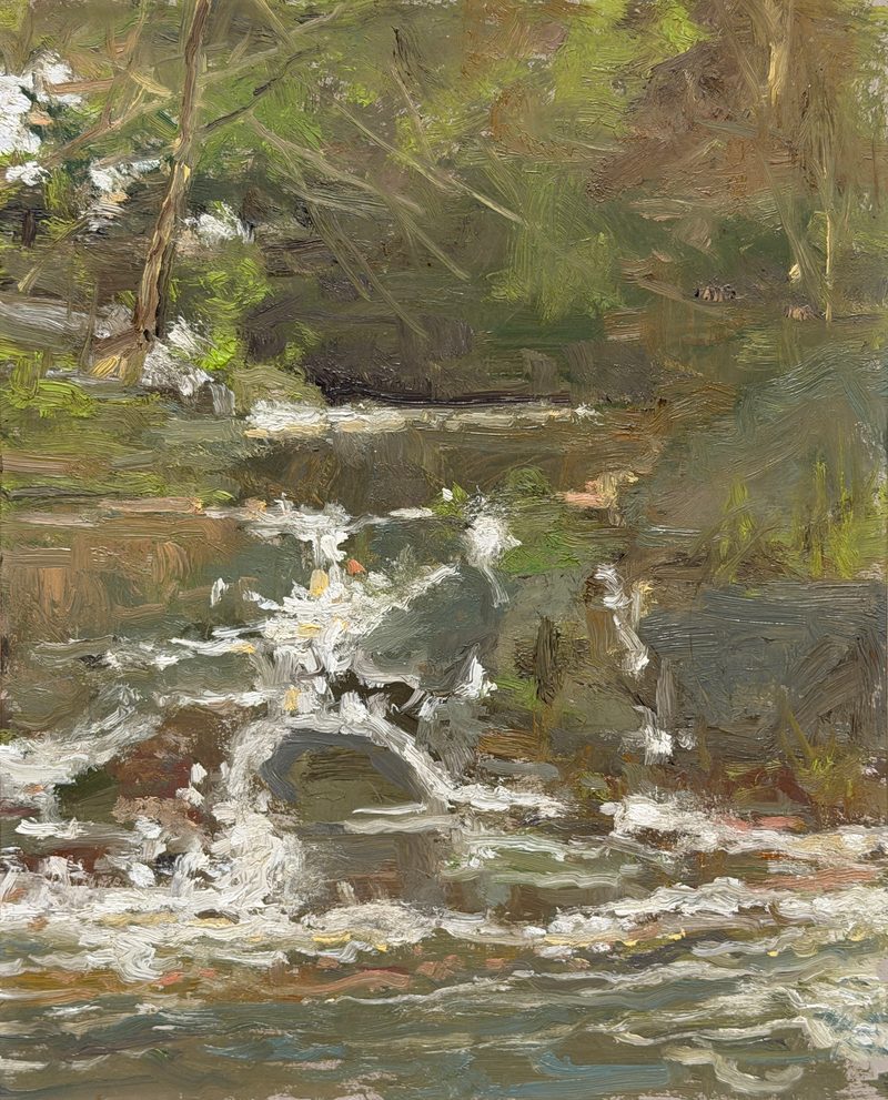 Rapids over rocks in a wooded creek