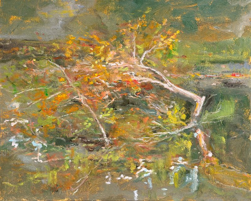 Fallen tree with orange leaves over a stream