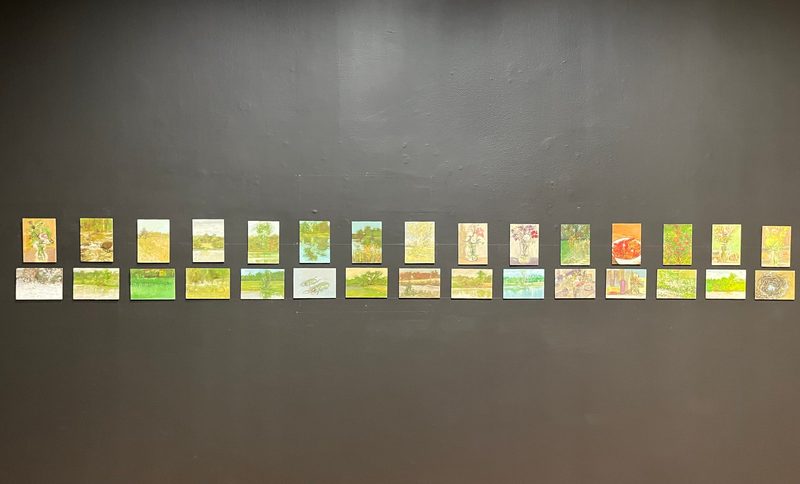 Two rows of small paintings of flowers and landscapes hung on a dark gallery wall