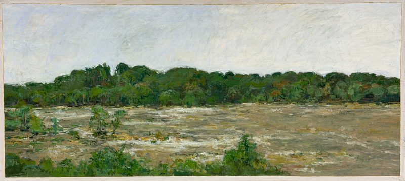 Field before a dark green treeline