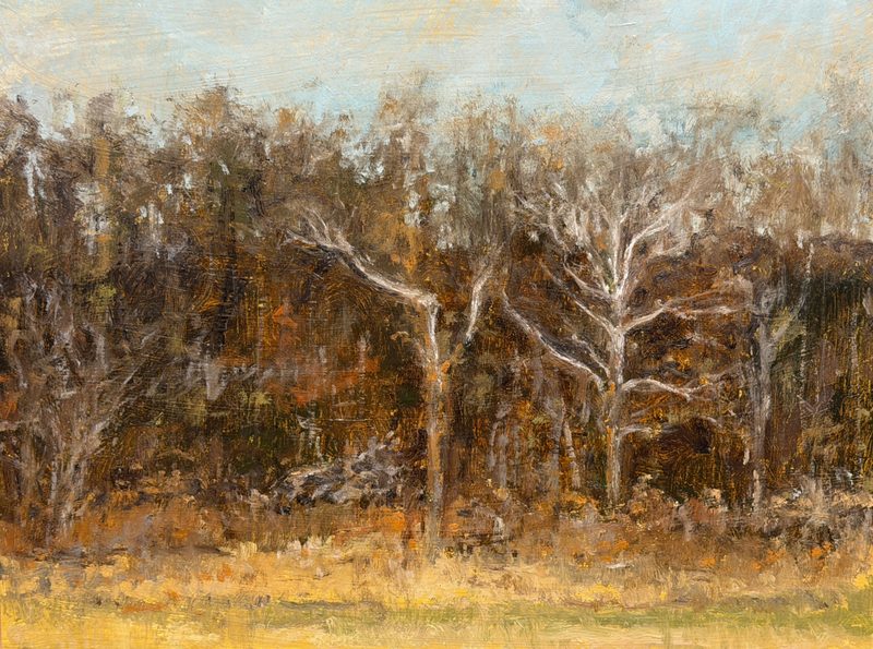 Bare winter woods above a dry field