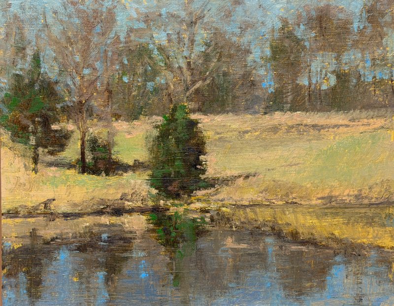 Pond reflecting bare trees and an evergreen