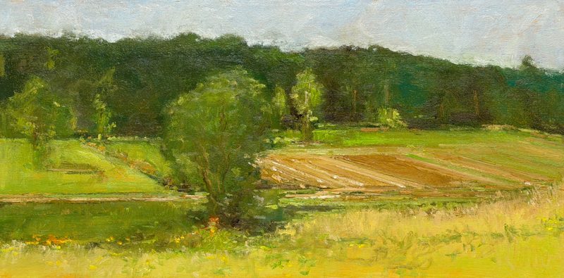 Green fields and trees below a wooded ridge