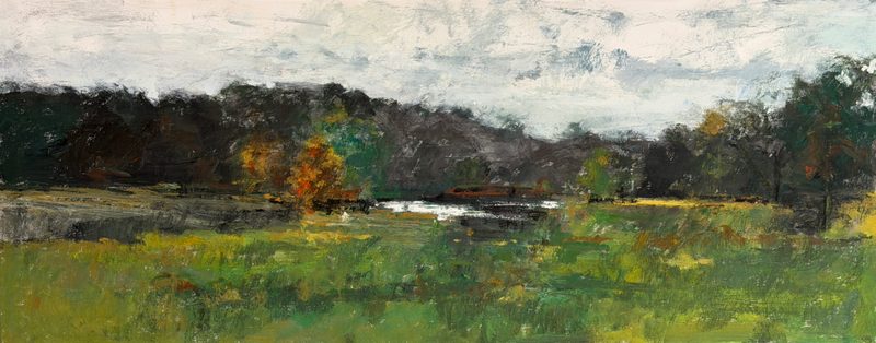 Meadow and dark treeline under a cloudy sky