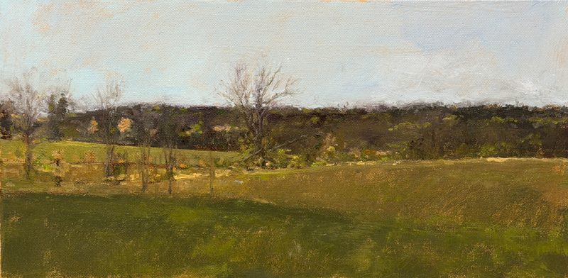 Green field below a distant treeline