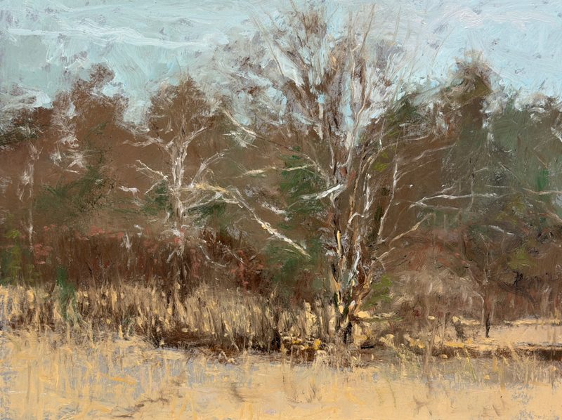 Bare trees above dry winter grass