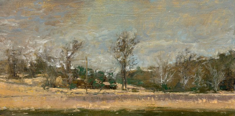 Bare trees across a golden field