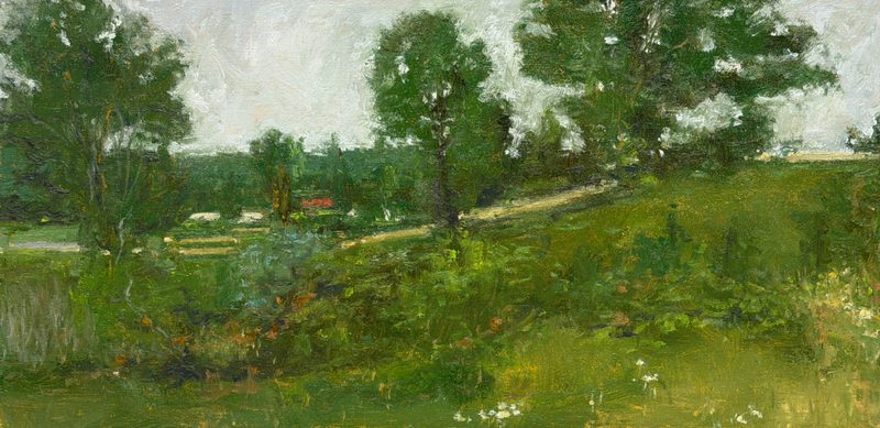 Green hillside with summer trees