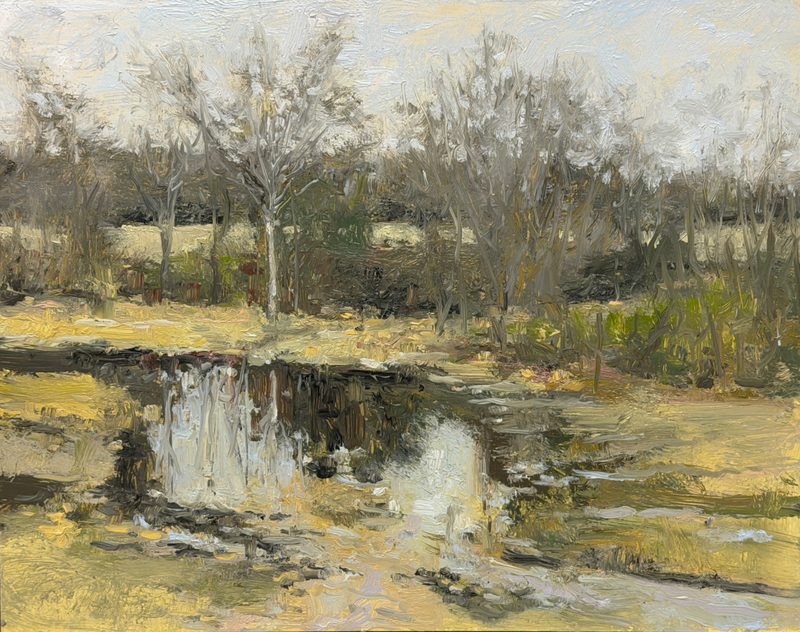 Puddles reflecting bare trees