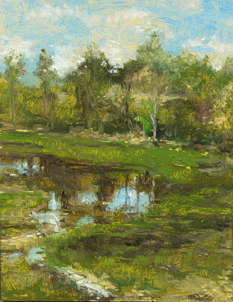 Spring trees and a pond in green grass