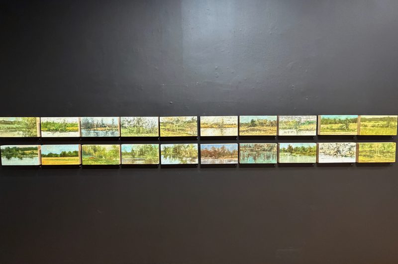 Two rows of the small paintings hung on a dark gallery wall