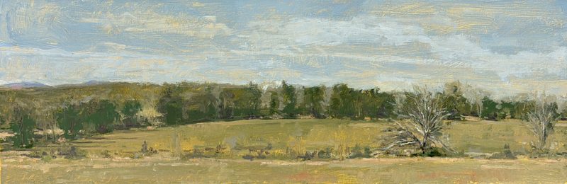 Long view of fields and a treeline
