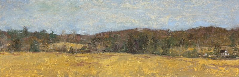 Golden field below wooded hills